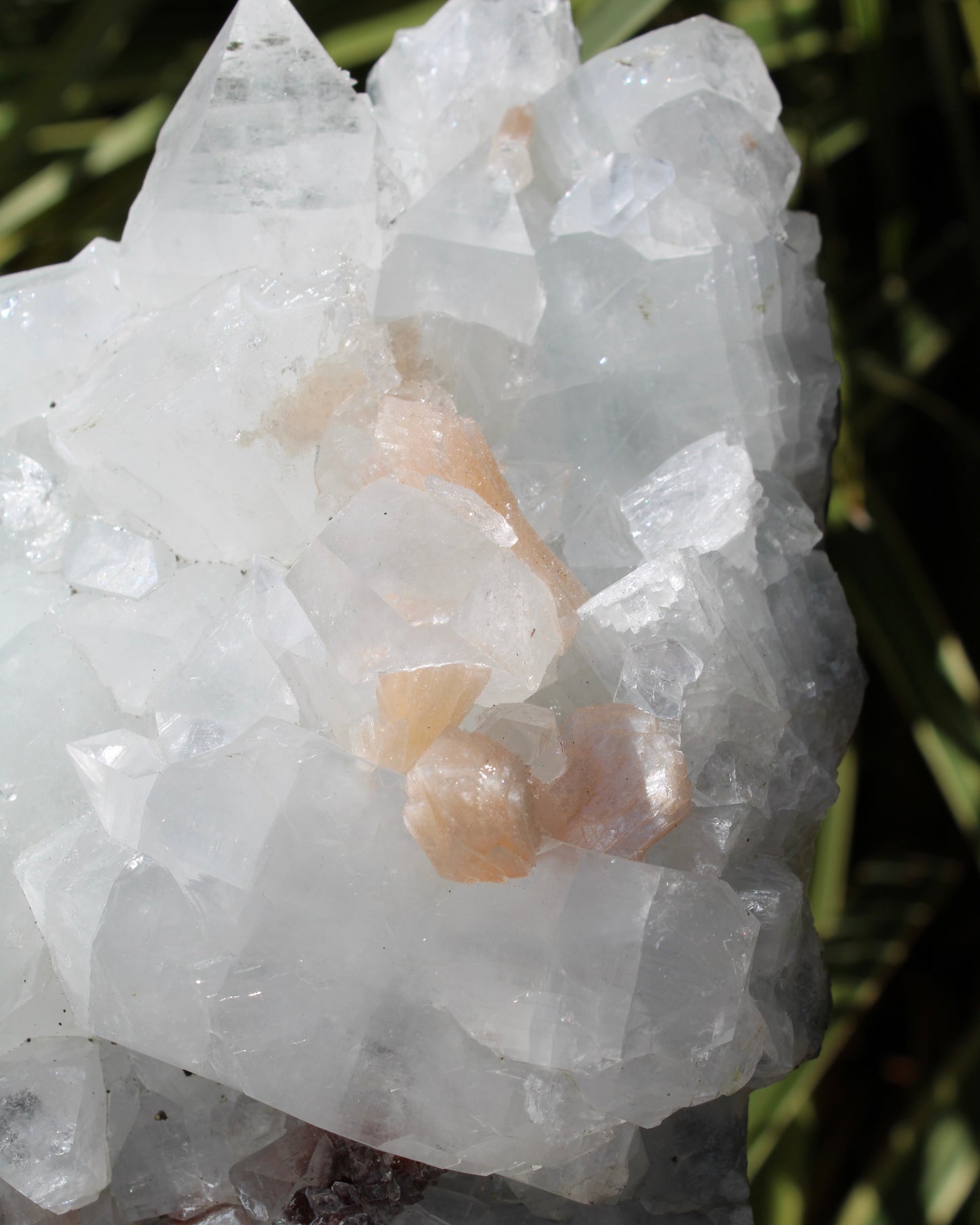 Apophyllite, Stilbite & Heulandite Natural Crystal Cluster - Large Long