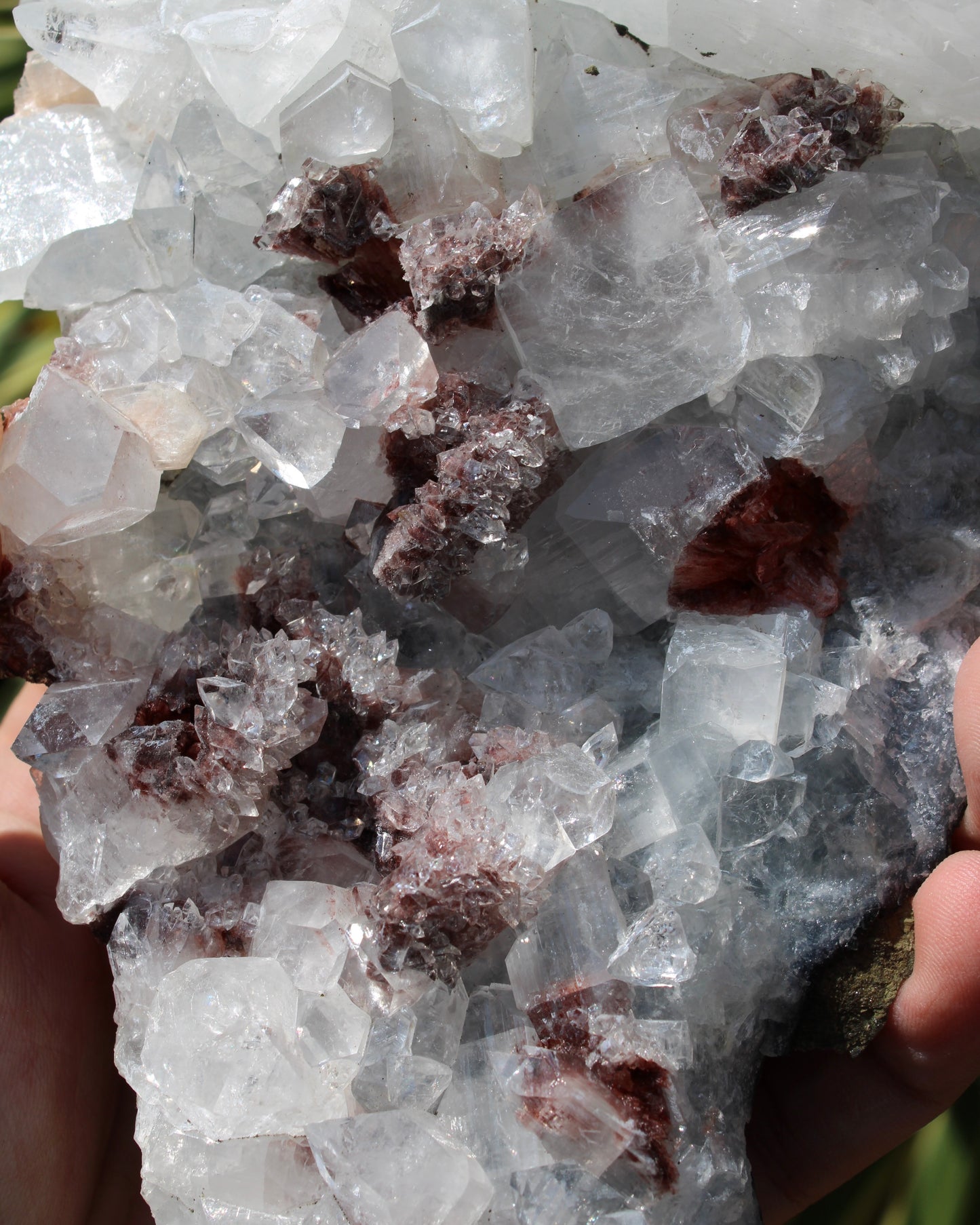 Apophyllite, Stilbite & Heulandite Natural Crystal Cluster - Large Long