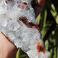 Apophyllite, Stilbite & Heulandite Natural Crystal Cluster - Large Long