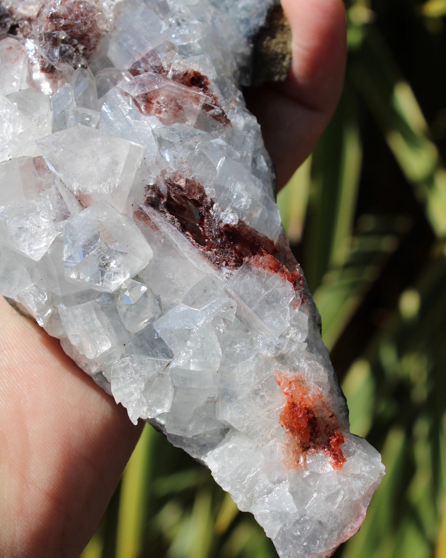 Apophyllite, Stilbite & Heulandite Natural Crystal Cluster - Large Long