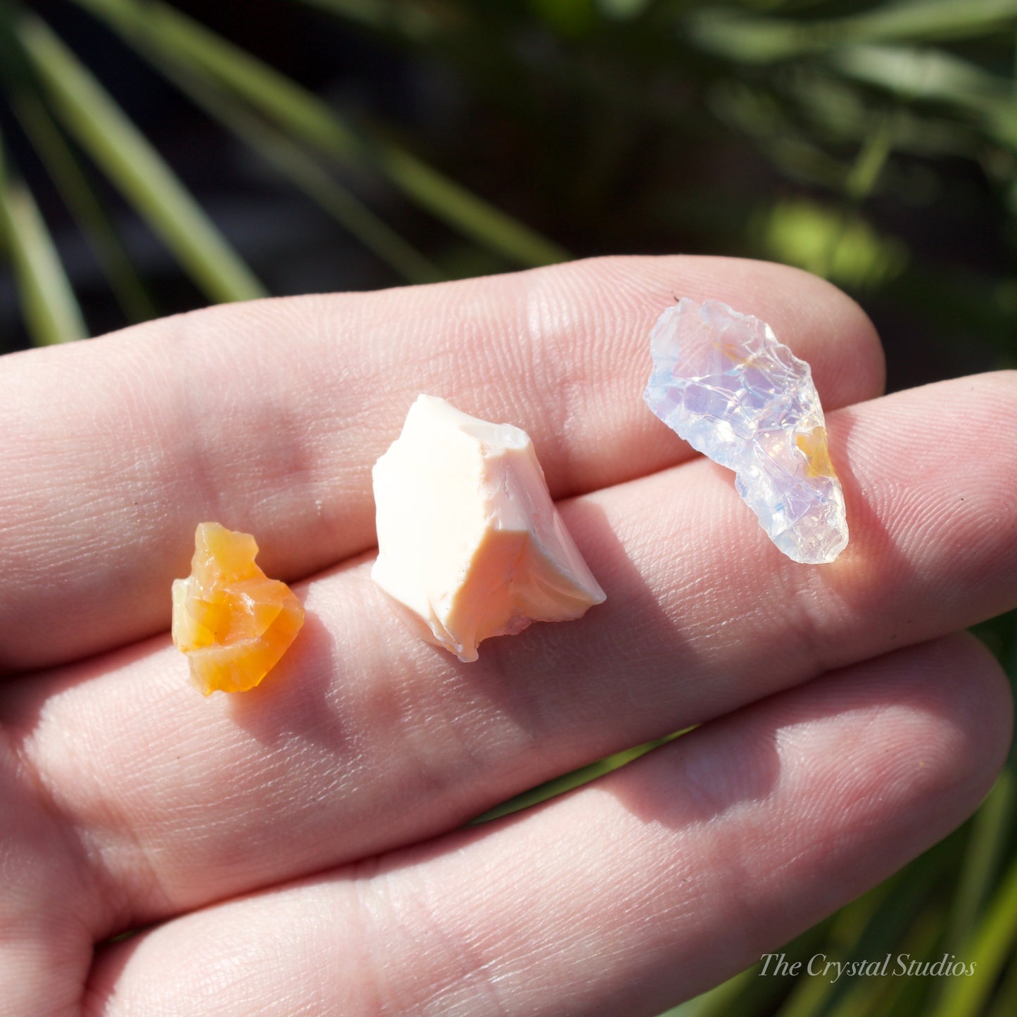 Butte Oregon Opal Natural Crystal Set