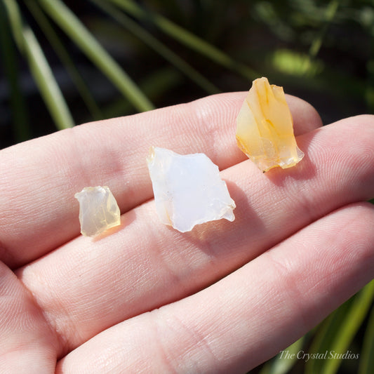 Butte Oregon Opal Natural Crystal Set