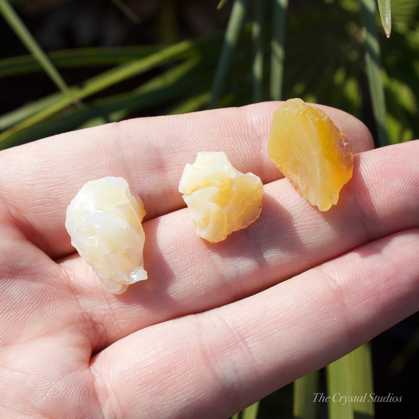 Butte Oregon Opal Natural Crystal Set