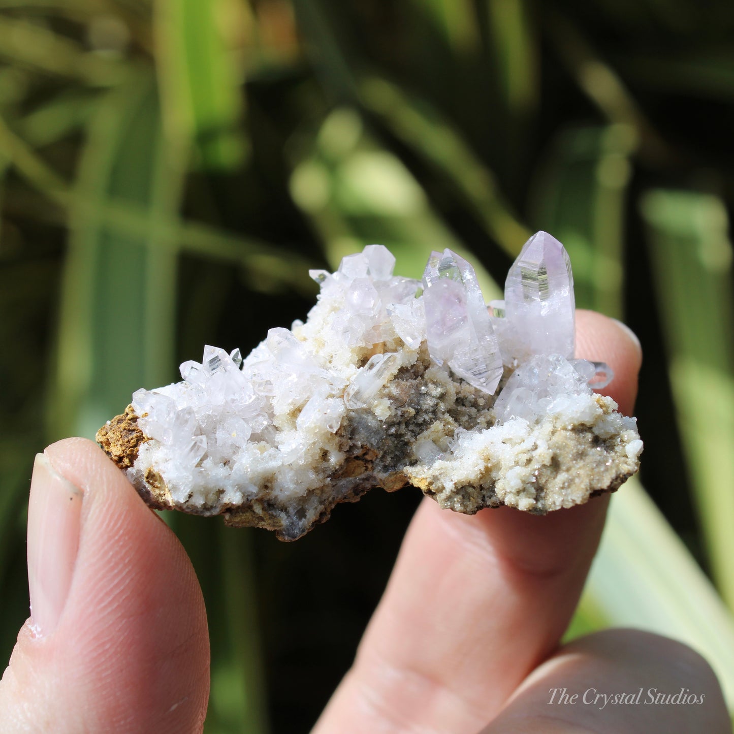 Vera Cruz Amethyst Natural Crystal Cluster