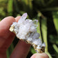 Vera Cruz Amethyst Natural Crystal Cluster