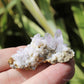 Vera Cruz Amethyst Natural Crystal Cluster