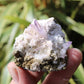 Vera Cruz Amethyst Natural Crystal Cluster