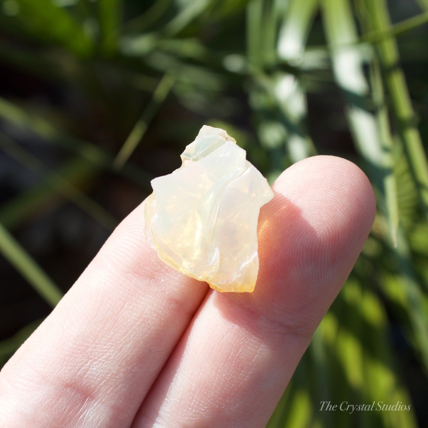 Butte Oregon Opal Natural Crystal