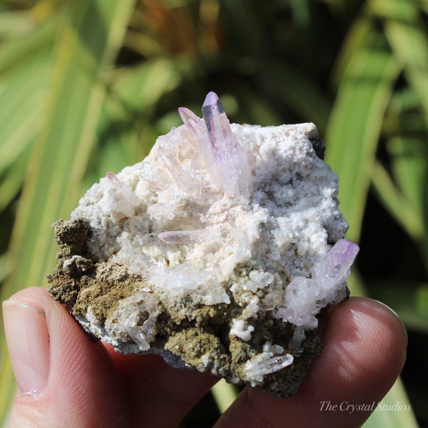 Vera Cruz Amethyst Natural Crystal Cluster