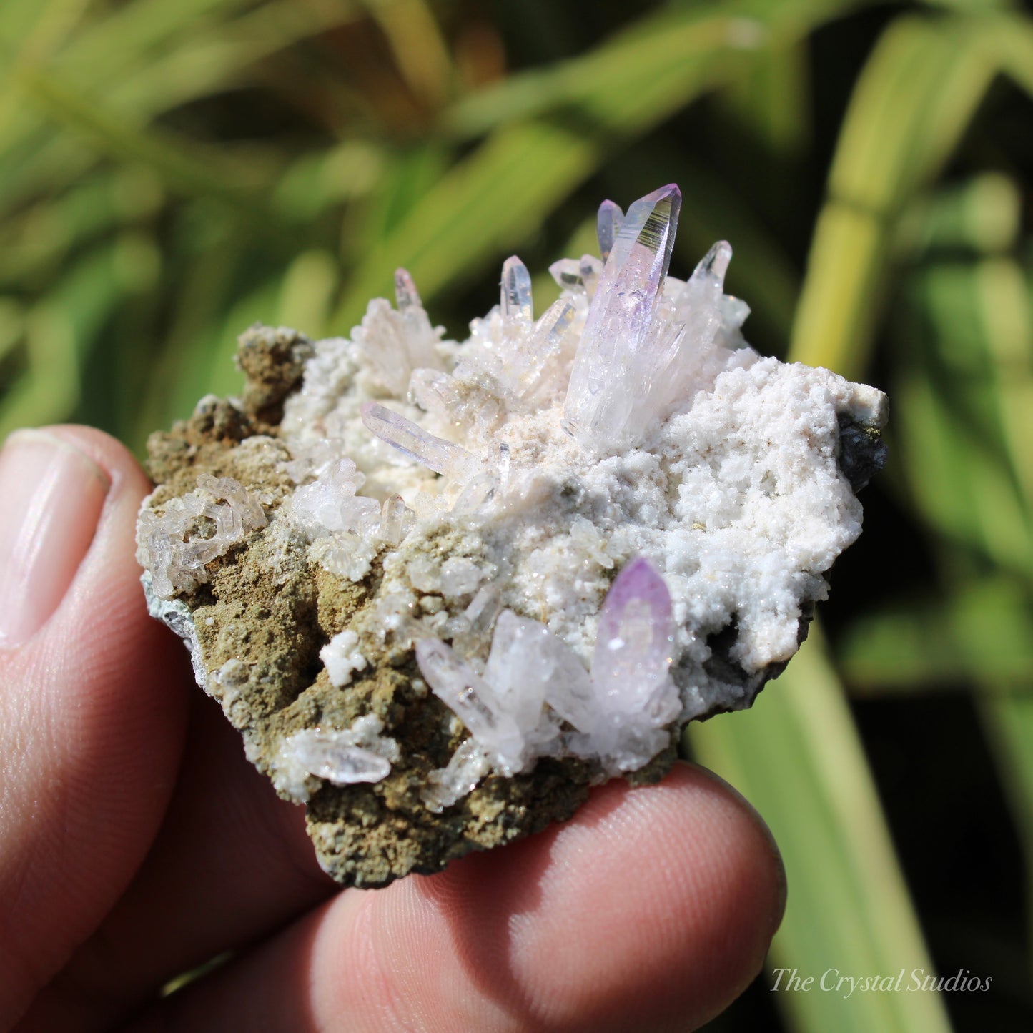 Vera Cruz Amethyst Natural Crystal Cluster