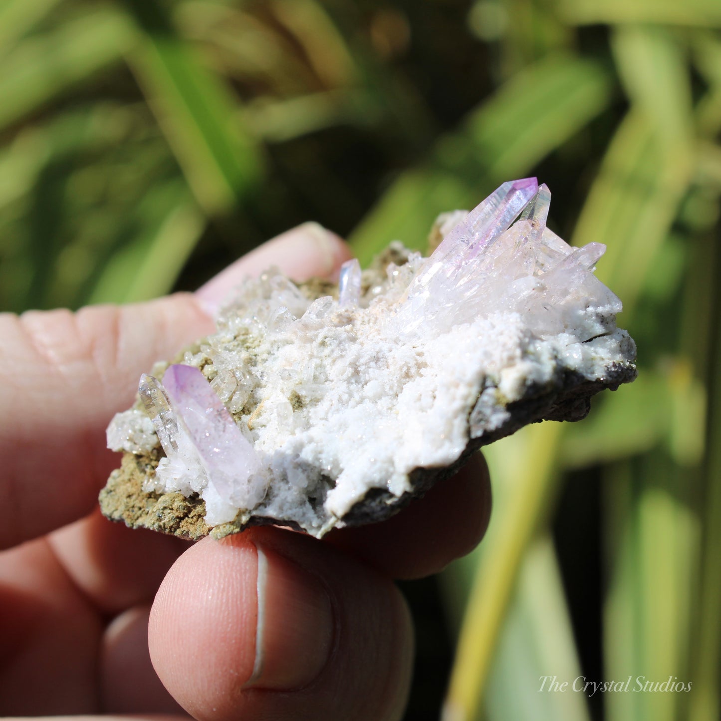 Vera Cruz Amethyst Natural Crystal Cluster