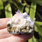 Vera Cruz Amethyst Natural Crystal Cluster