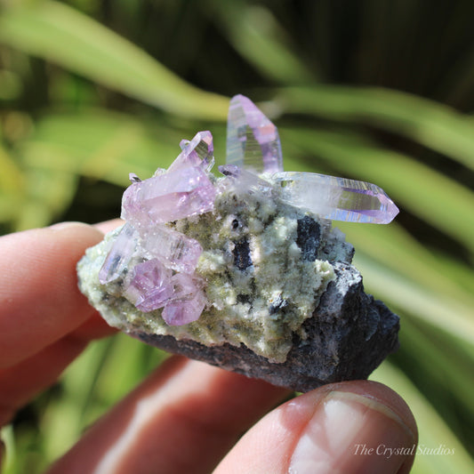 Vera Cruz Amethyst Natural Crystal Cluster