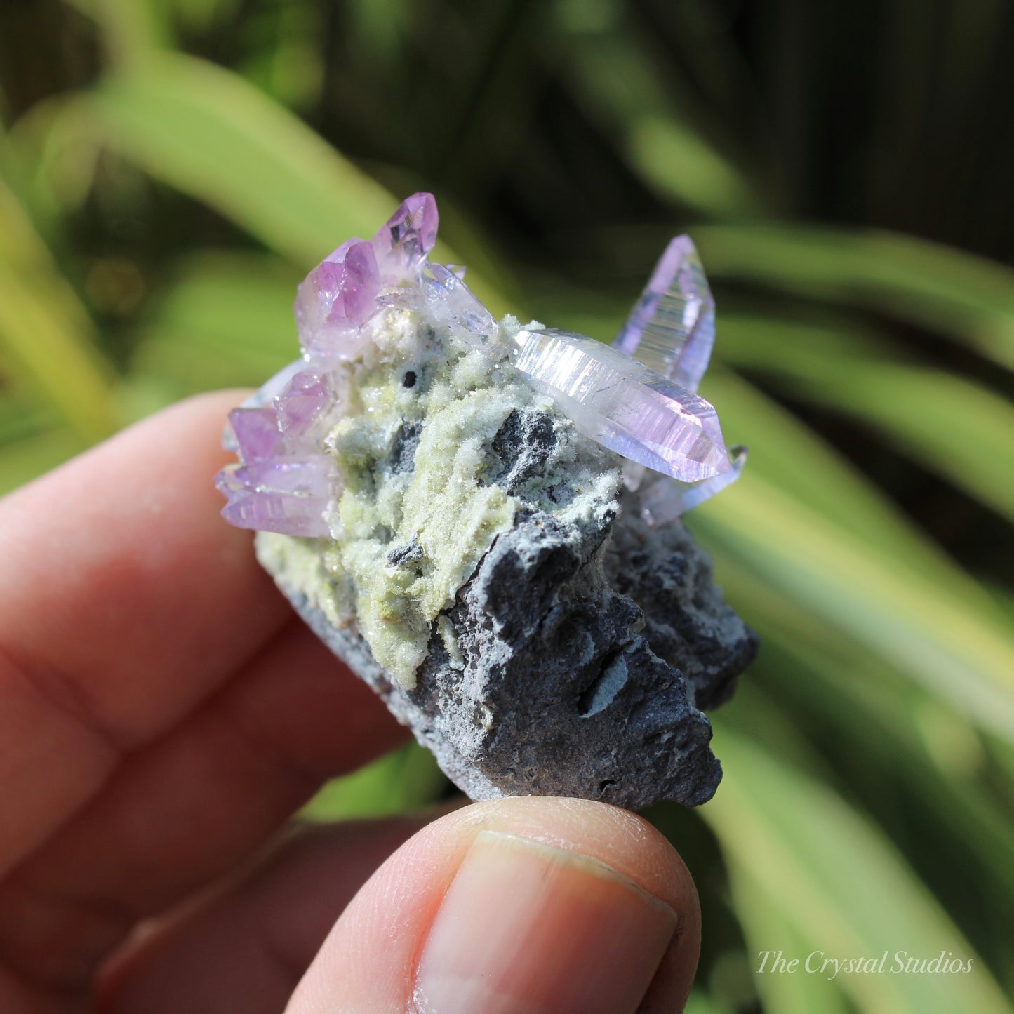 Vera Cruz Amethyst Natural Crystal Cluster