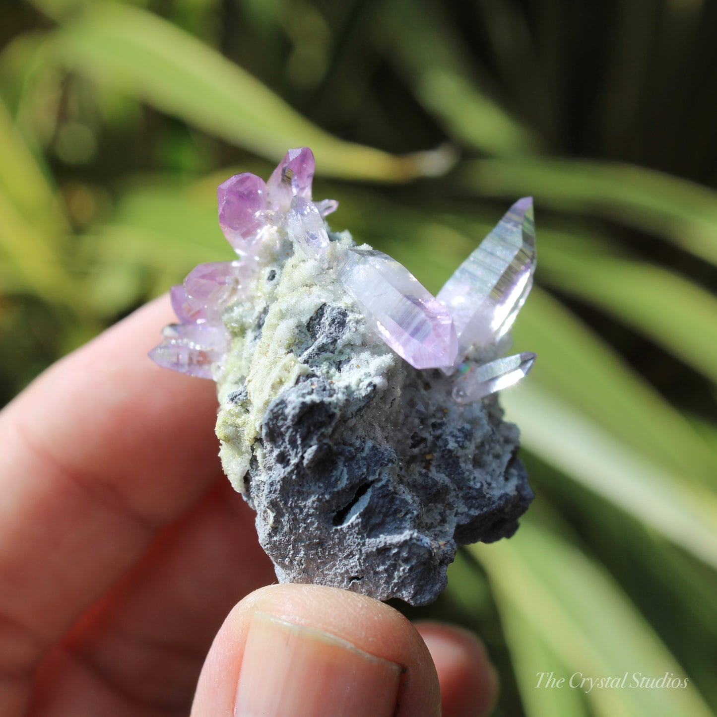 Vera Cruz Amethyst Natural Crystal Cluster