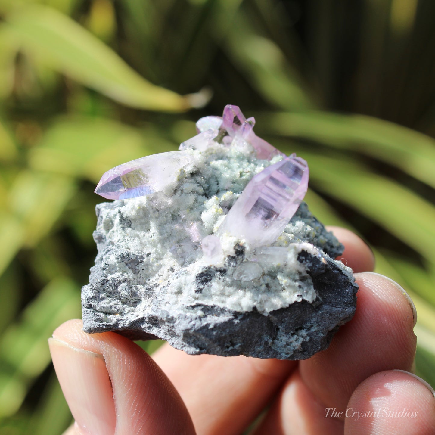 Vera Cruz Amethyst Natural Crystal Cluster