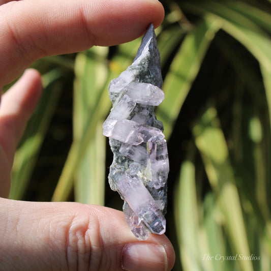 Vera Cruz Amethyst Natural Crystal Cluster