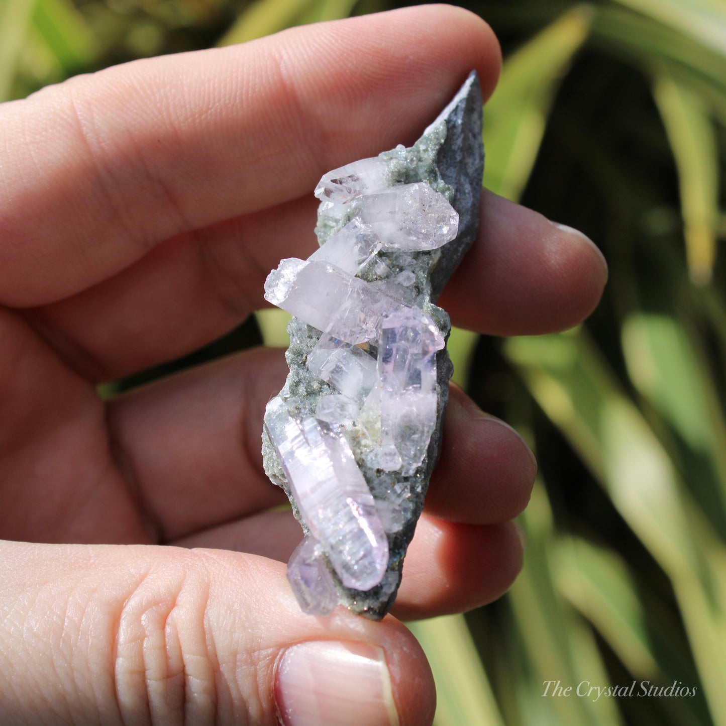 Vera Cruz Amethyst Natural Crystal Cluster