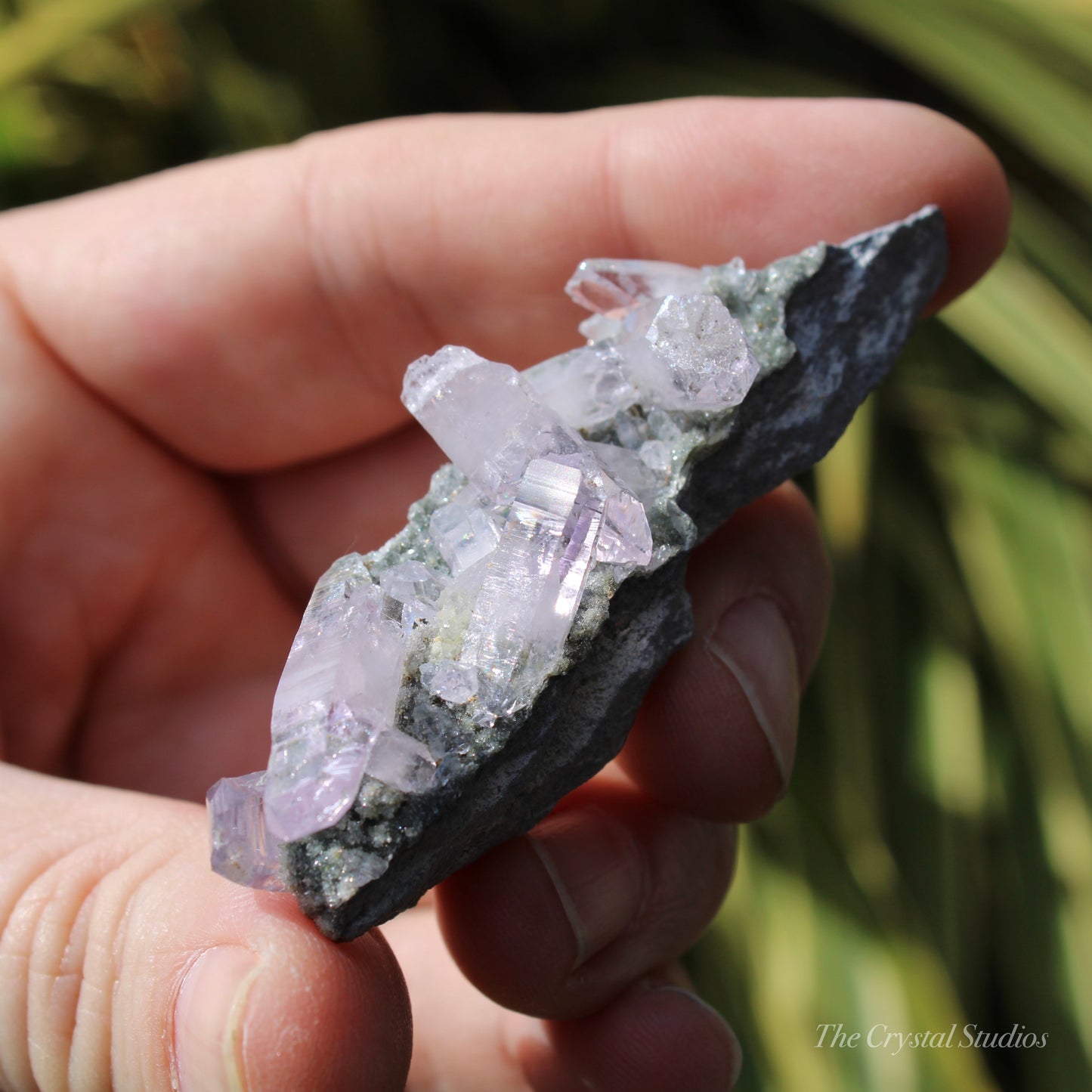 Vera Cruz Amethyst Natural Crystal Cluster