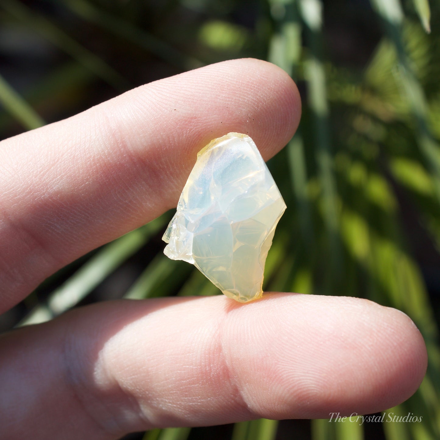 Butte Oregon Opal Natural Crystal