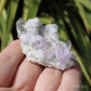 Vera Cruz Amethyst Natural Crystal Cluster