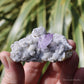 Vera Cruz Amethyst Natural Crystal Cluster