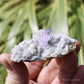 Vera Cruz Amethyst Natural Crystal Cluster