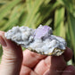 Vera Cruz Amethyst Natural Crystal Cluster