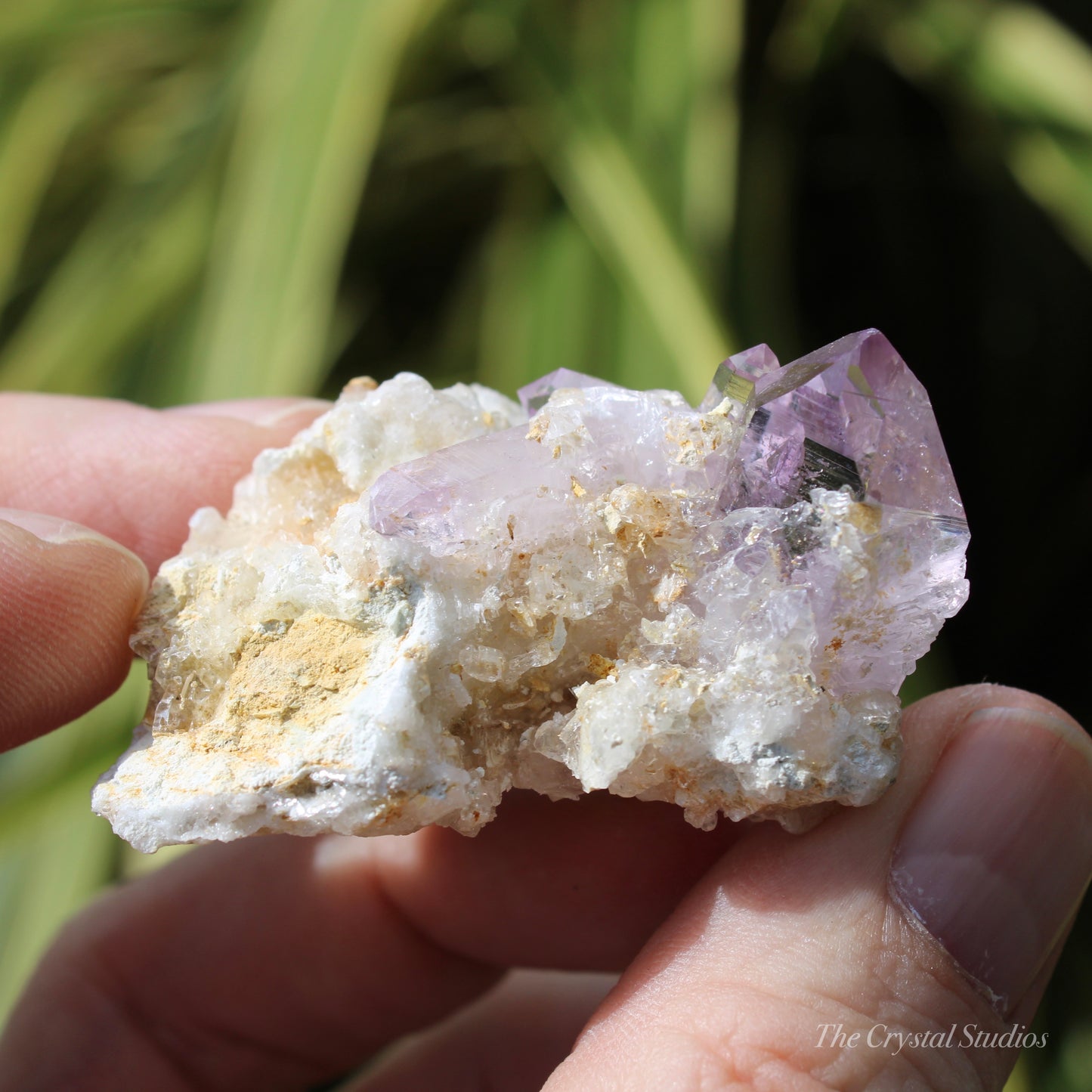 Vera Cruz Amethyst Natural Crystal Cluster