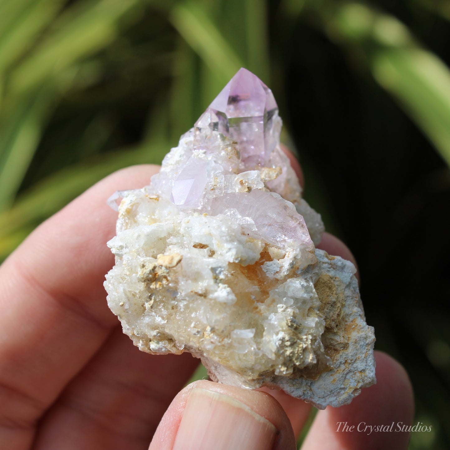 Vera Cruz Amethyst Natural Crystal Cluster