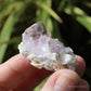 Vera Cruz Amethyst Natural Crystal Cluster