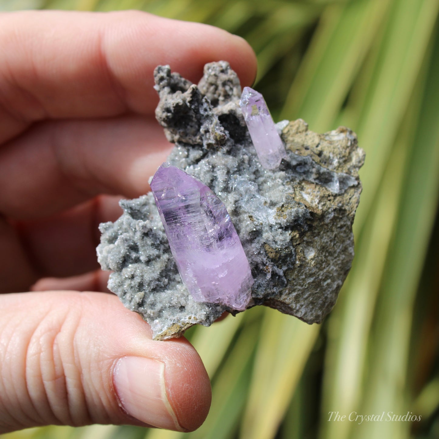 Vera Cruz Amethyst Natural Crystal Cluster