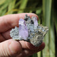 Vera Cruz Amethyst Natural Crystal Cluster