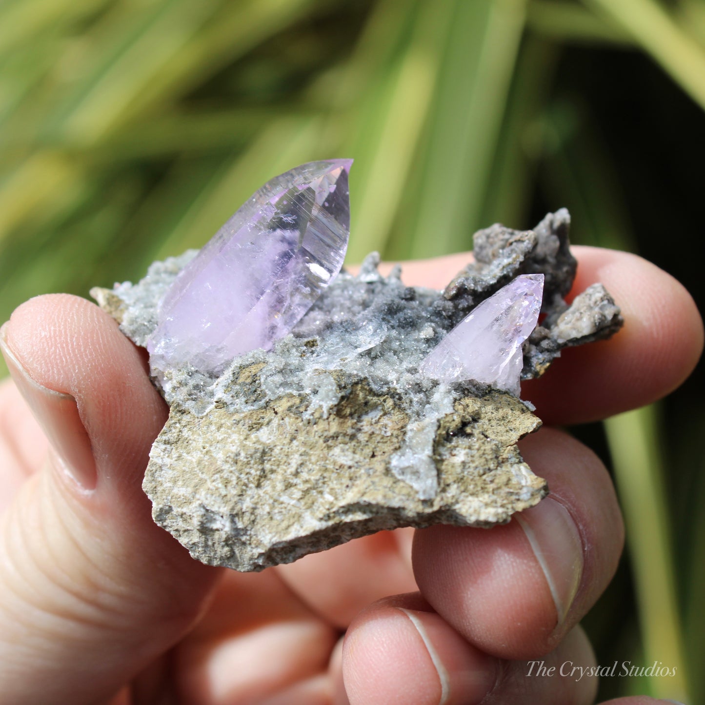 Vera Cruz Amethyst Natural Crystal Cluster