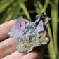 Vera Cruz Amethyst Natural Crystal Cluster