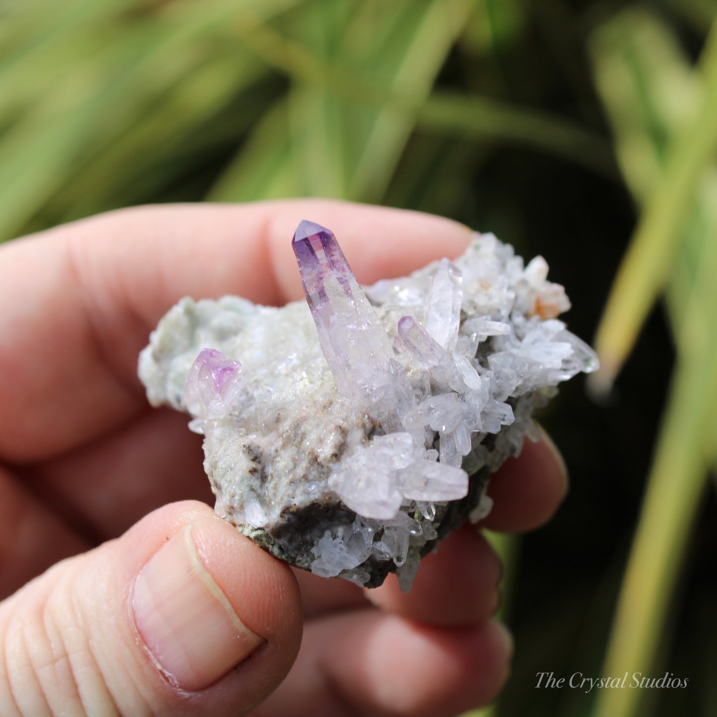 Vera Cruz Amethyst Natural Crystal Cluster