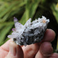 Vera Cruz Amethyst Natural Crystal Cluster