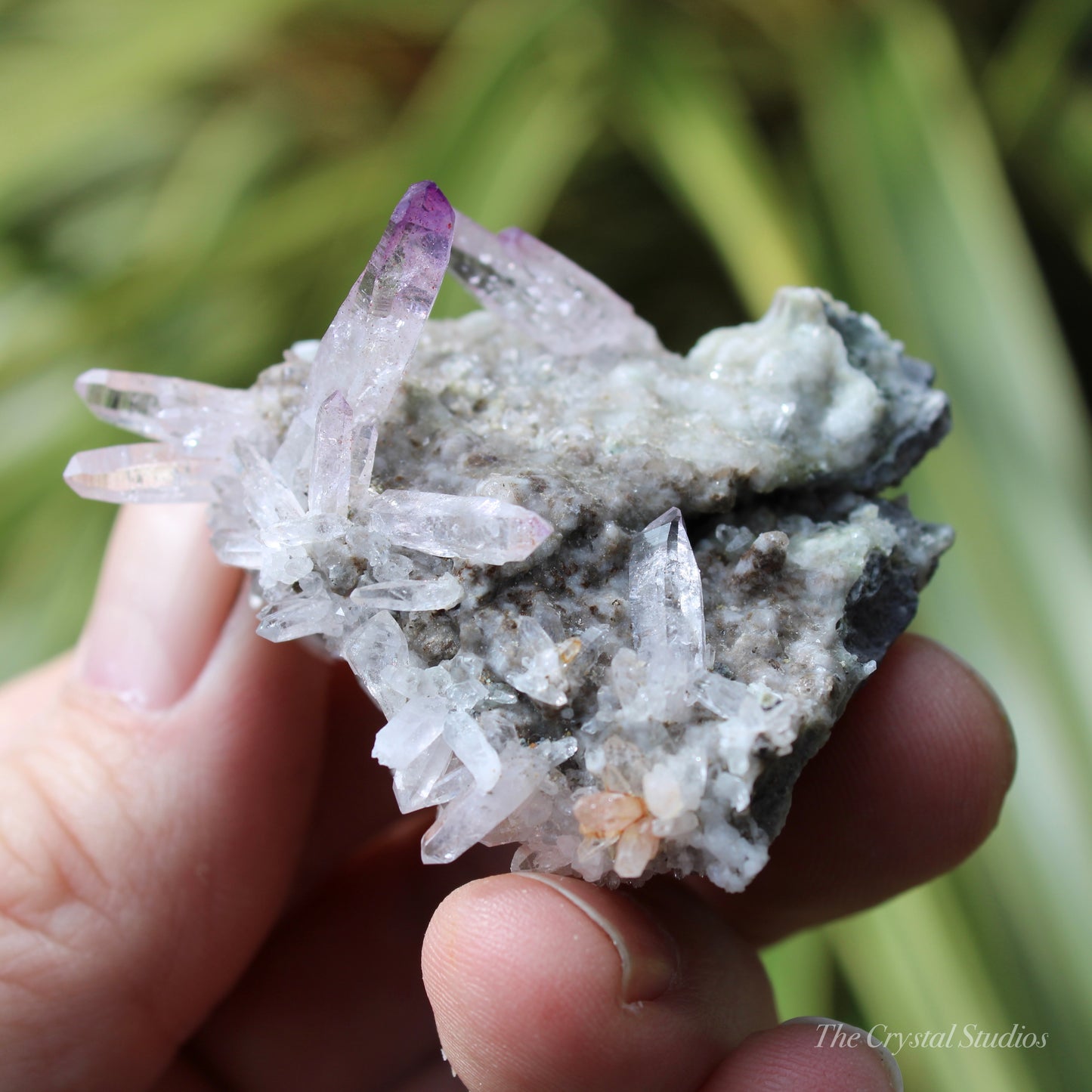 Vera Cruz Amethyst Natural Crystal Cluster