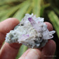 Vera Cruz Amethyst Natural Crystal Cluster