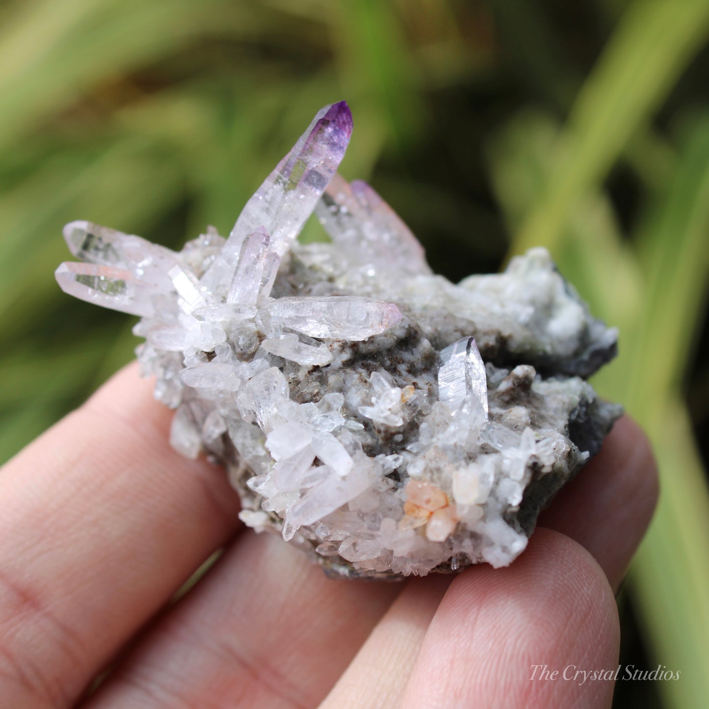 Vera Cruz Amethyst Natural Crystal Cluster