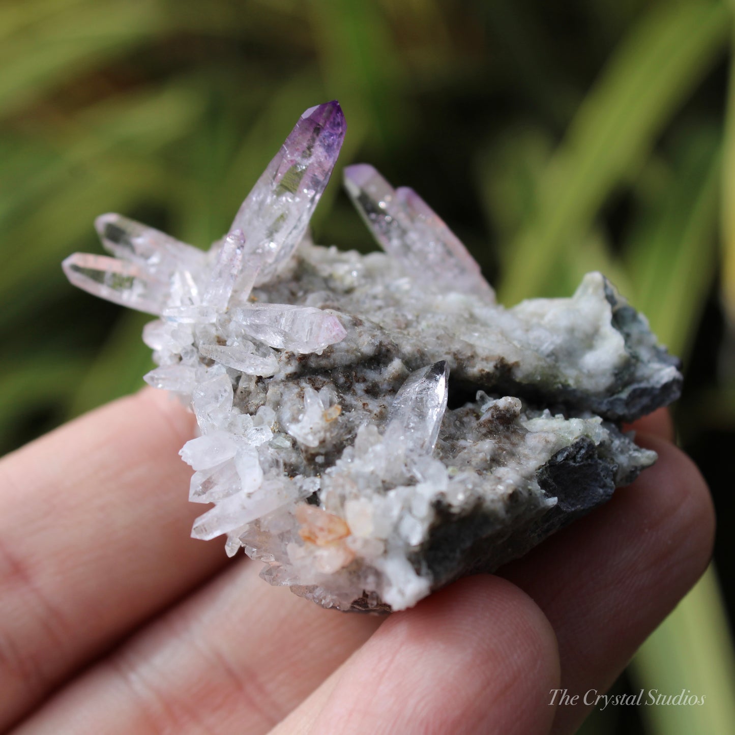 Vera Cruz Amethyst Natural Crystal Cluster