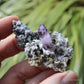 Vera Cruz Amethyst Natural Crystal Cluster