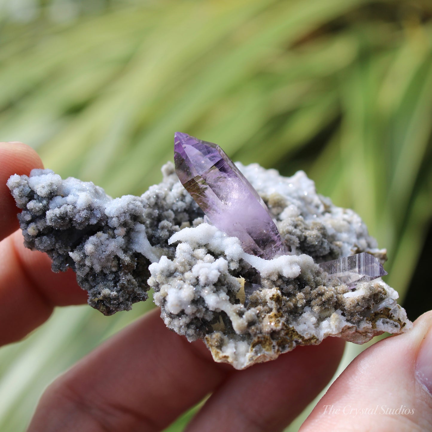 Vera Cruz Amethyst Natural Crystal Cluster