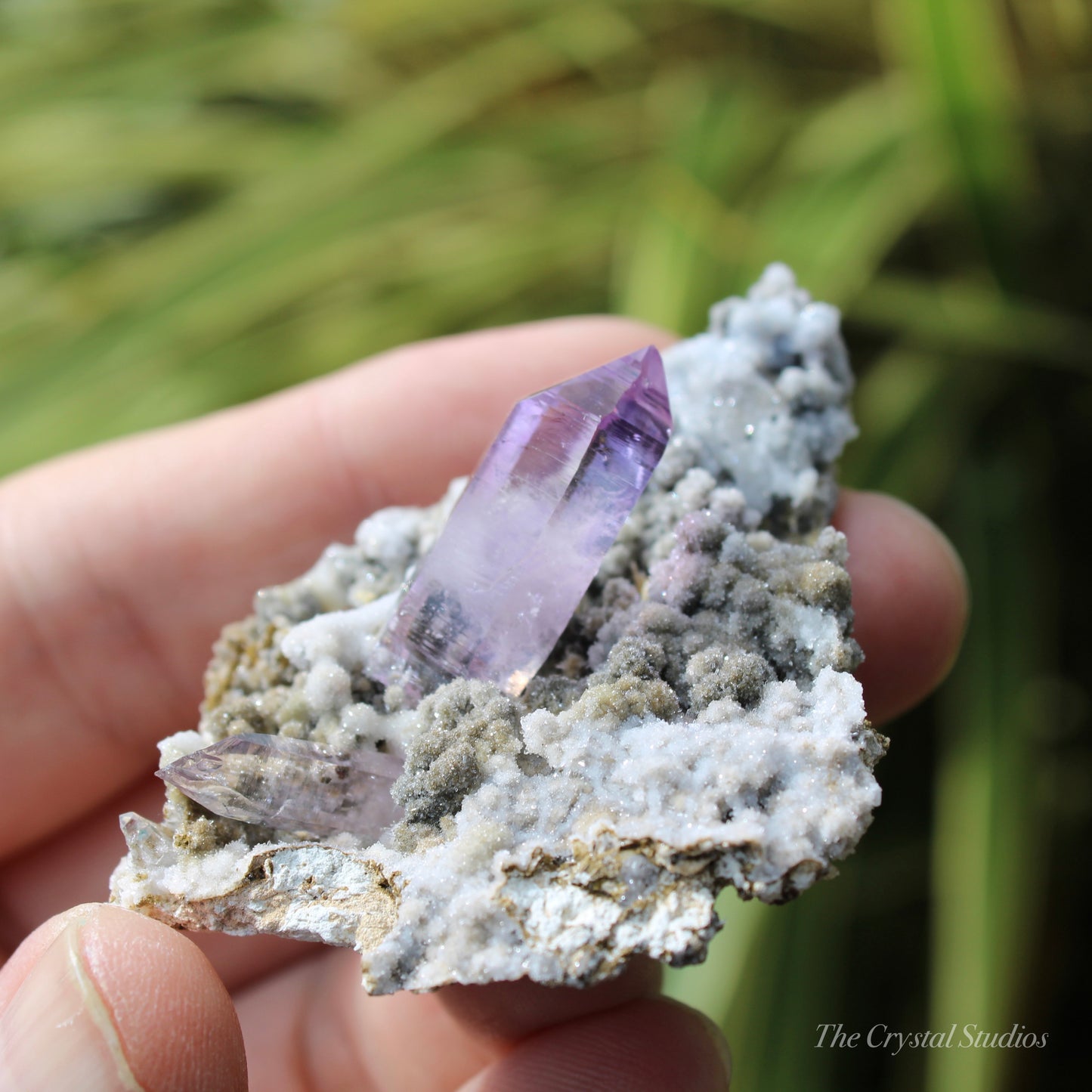 Vera Cruz Amethyst Natural Crystal Cluster