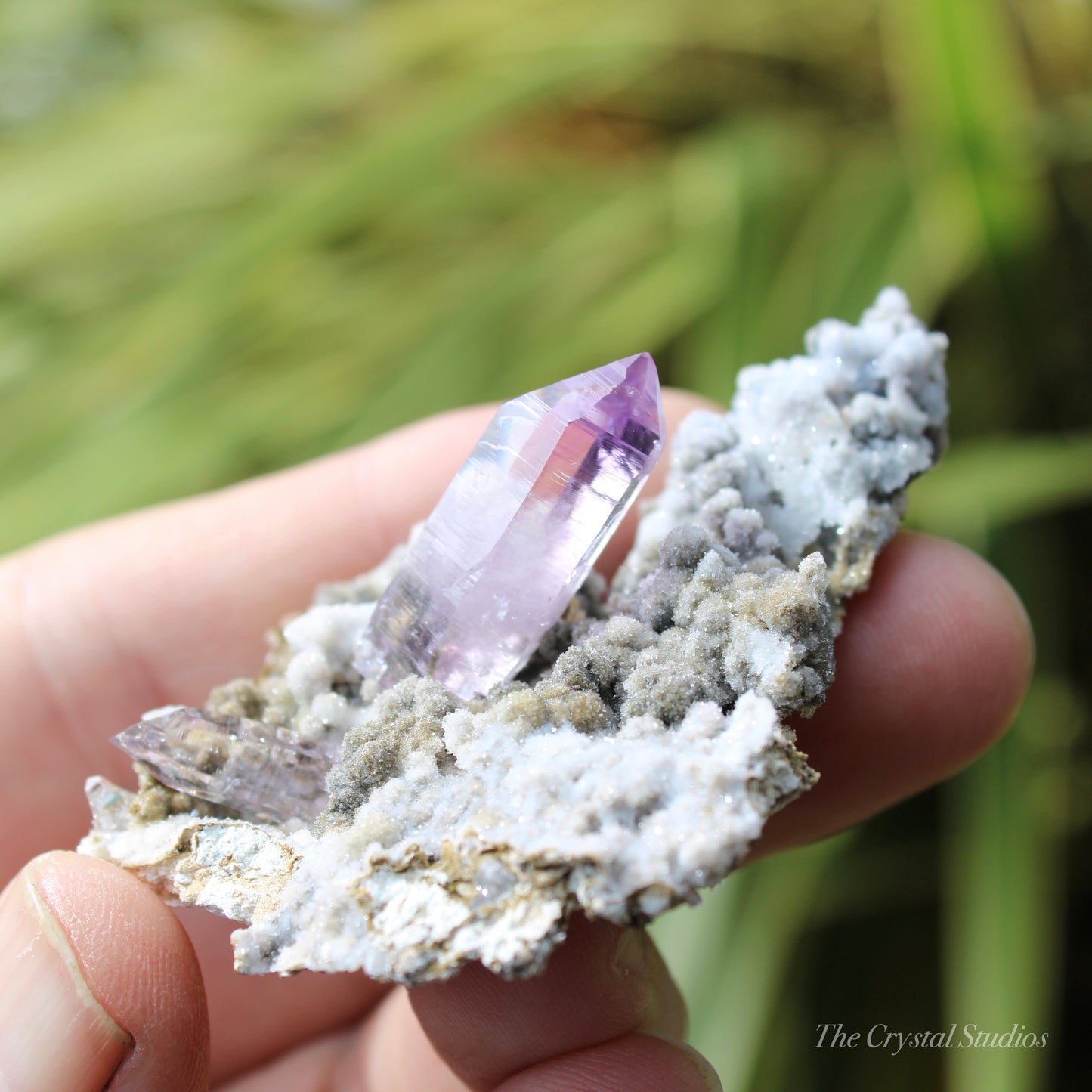 Vera Cruz Amethyst Natural Crystal Cluster