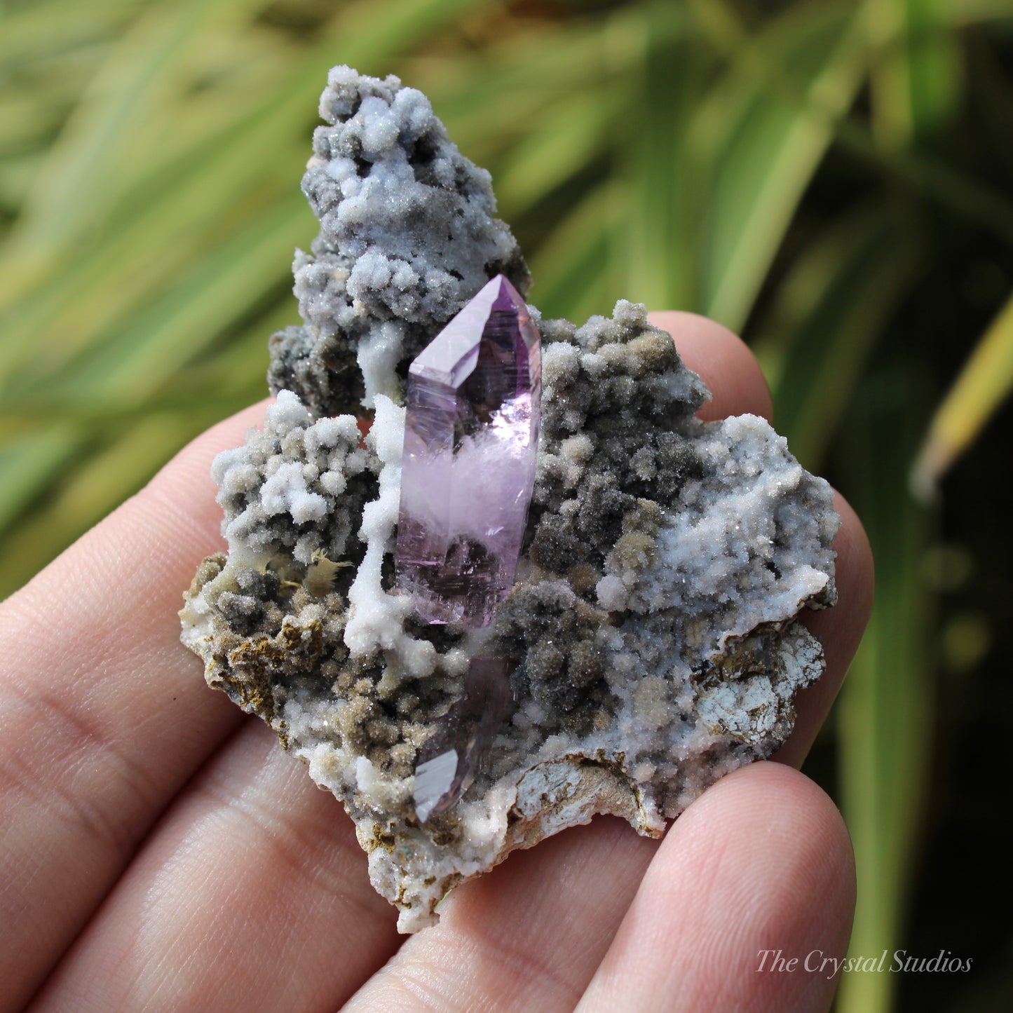 Vera Cruz Amethyst Natural Crystal Cluster