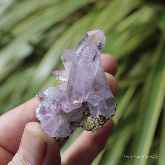 Vera Cruz Amethyst Natural Crystal Cluster