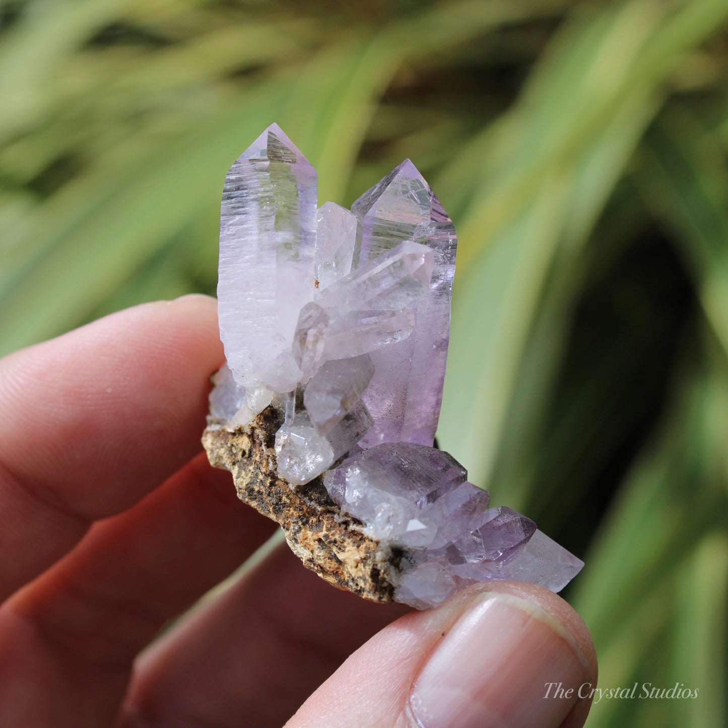 Vera Cruz Amethyst Natural Crystal Cluster