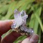 Vera Cruz Amethyst Natural Crystal Cluster