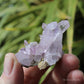 Vera Cruz Amethyst Natural Crystal Cluster